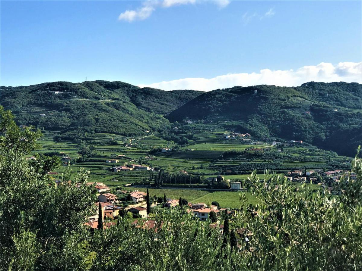 Apartamento Valpolicella Hills Negrar Exterior foto