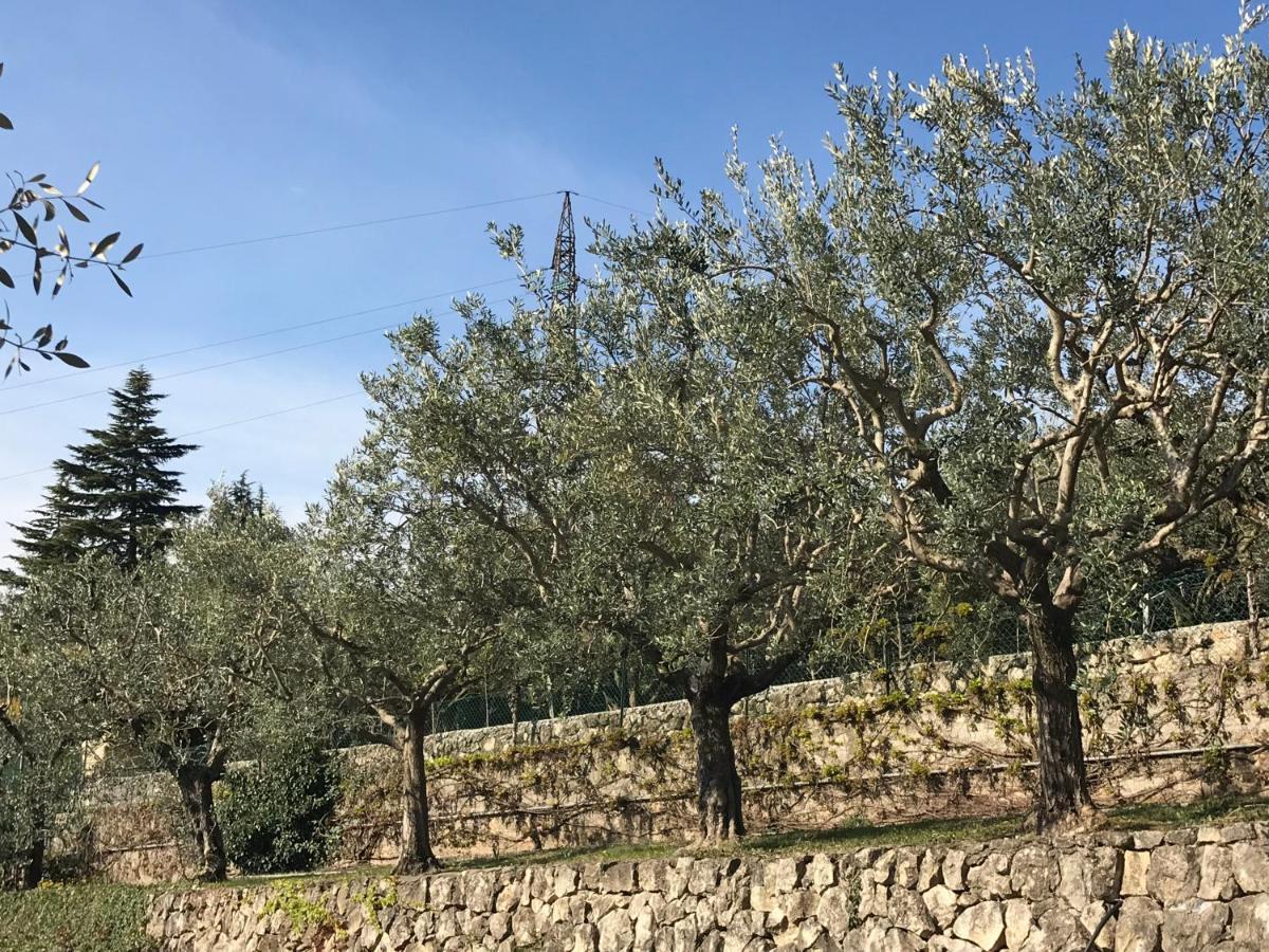 Apartamento Valpolicella Hills Negrar Exterior foto